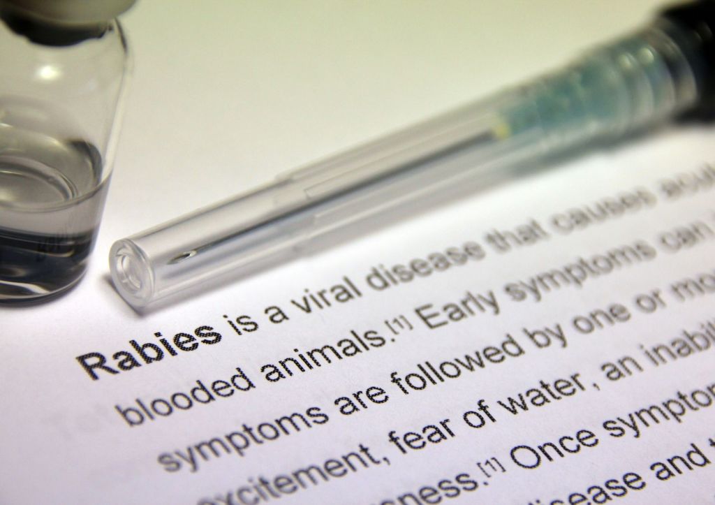 BREAKING RABIES BOUNDARIES