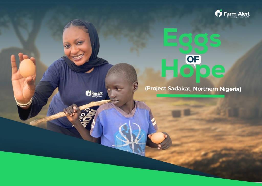 Celebrating a Milestone: 1,000 Eggs of Hope Delivered!&nbsp;🥚✨