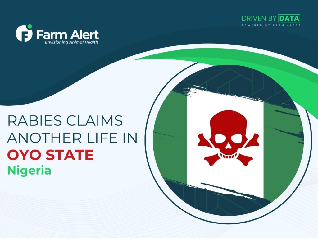 Another Case of Rabies: What You Need to&nbsp;Know