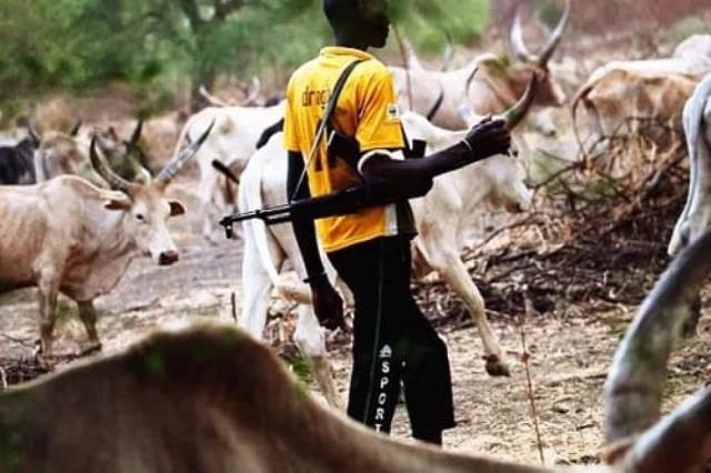 Clash Between Farmers and Herders Claims Nine Lives in Jigawa&nbsp;State
