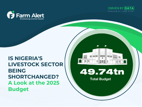 Is Nigeria’s Livestock Sector Being Shortchanged? A Look at the 2025&nbsp;Budget