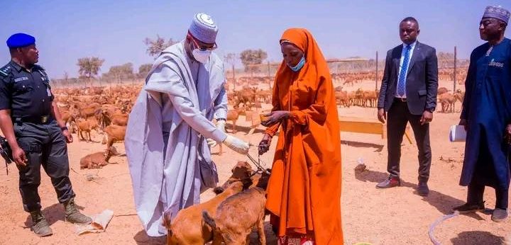 Katsina State Empowers Women with ₦5 Billion Goat Distribution&nbsp;Initiative