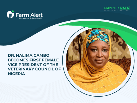 Dr. Halima Gambo Becomes First Female Vice President of the Veterinary Council of&nbsp;Nigeria