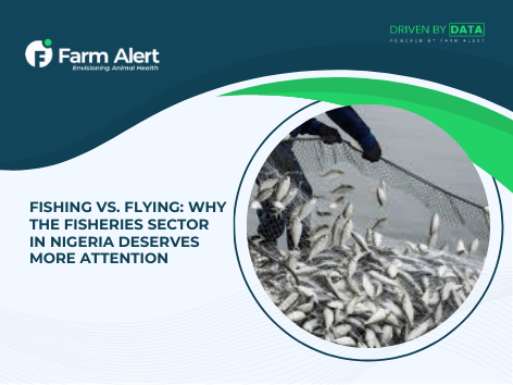 Fishing vs. Flying: Why the Fisheries Sector in Nigeria Deserves More&nbsp;Attention