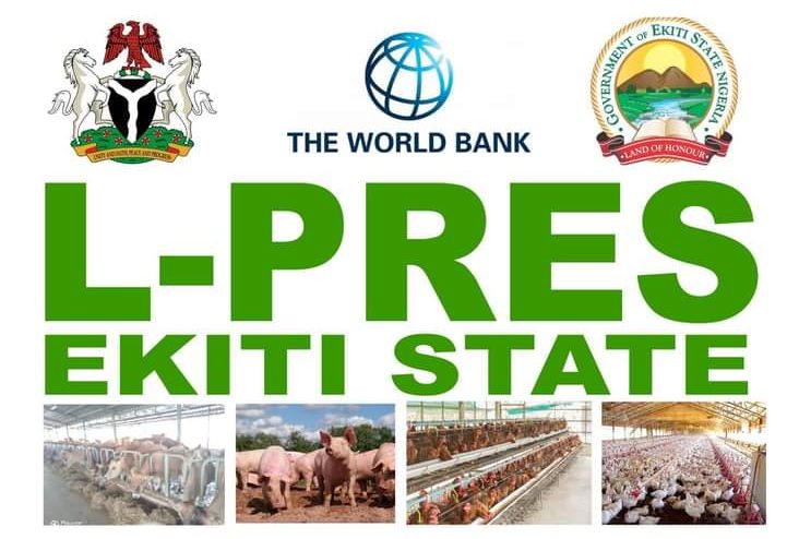 Ekiti State Equips Butchers and Meat Handlers with Modern Slaughtering and Food Safety&nbsp;Techniques