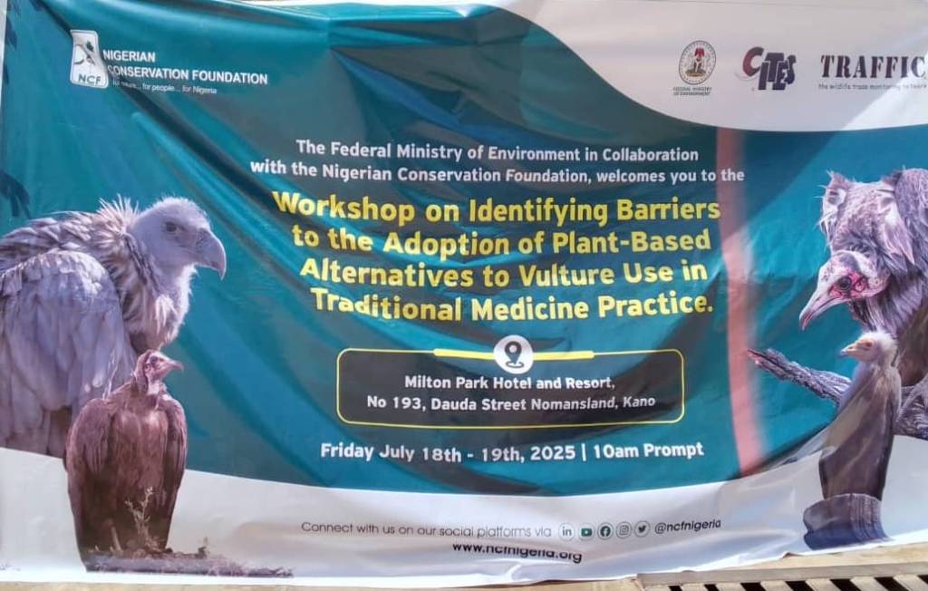 Nigeria Moves to Strengthen Wildlife Protection Laws Amid Rising Threats to Endangered&nbsp;Species