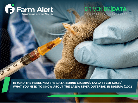 Beyond the Headlines: The Data Behind Nigeria’s Lassa Fever&nbsp;Cases”