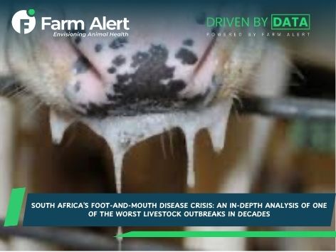 South Africa’s Foot-and-Mouth Disease Crisis: An In-Depth Analysis of One of the Worst Livestock Outbreaks in&nbsp;Decades