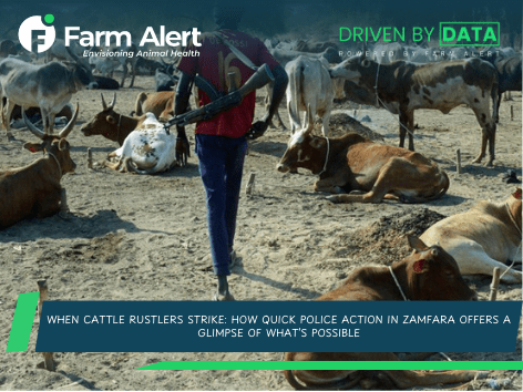 When Cattle Rustlers Strike: How Quick Police Action in Zamfara Offers a Glimpse of What’s Possible