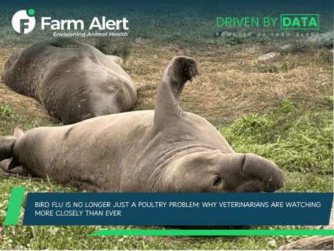 The Virus That Is Jumping Across&nbsp;Species