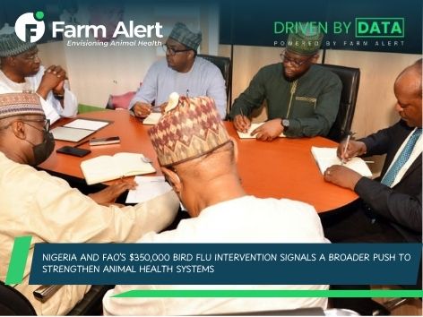 Nigeria and FAO’s $350,000 Bird Flu Intervention Signals a Broader Push to Strengthen Animal Health&nbsp;Systems