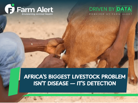 Africa’s Biggest Livestock Problem Isn’t Disease — It’s Detection