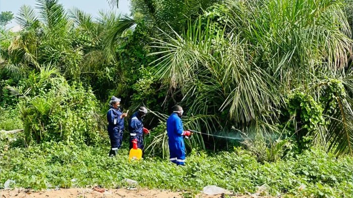 Nigeria Deploys Science-Driven Campaign Against Tsetse Flies Across Three&nbsp;States
