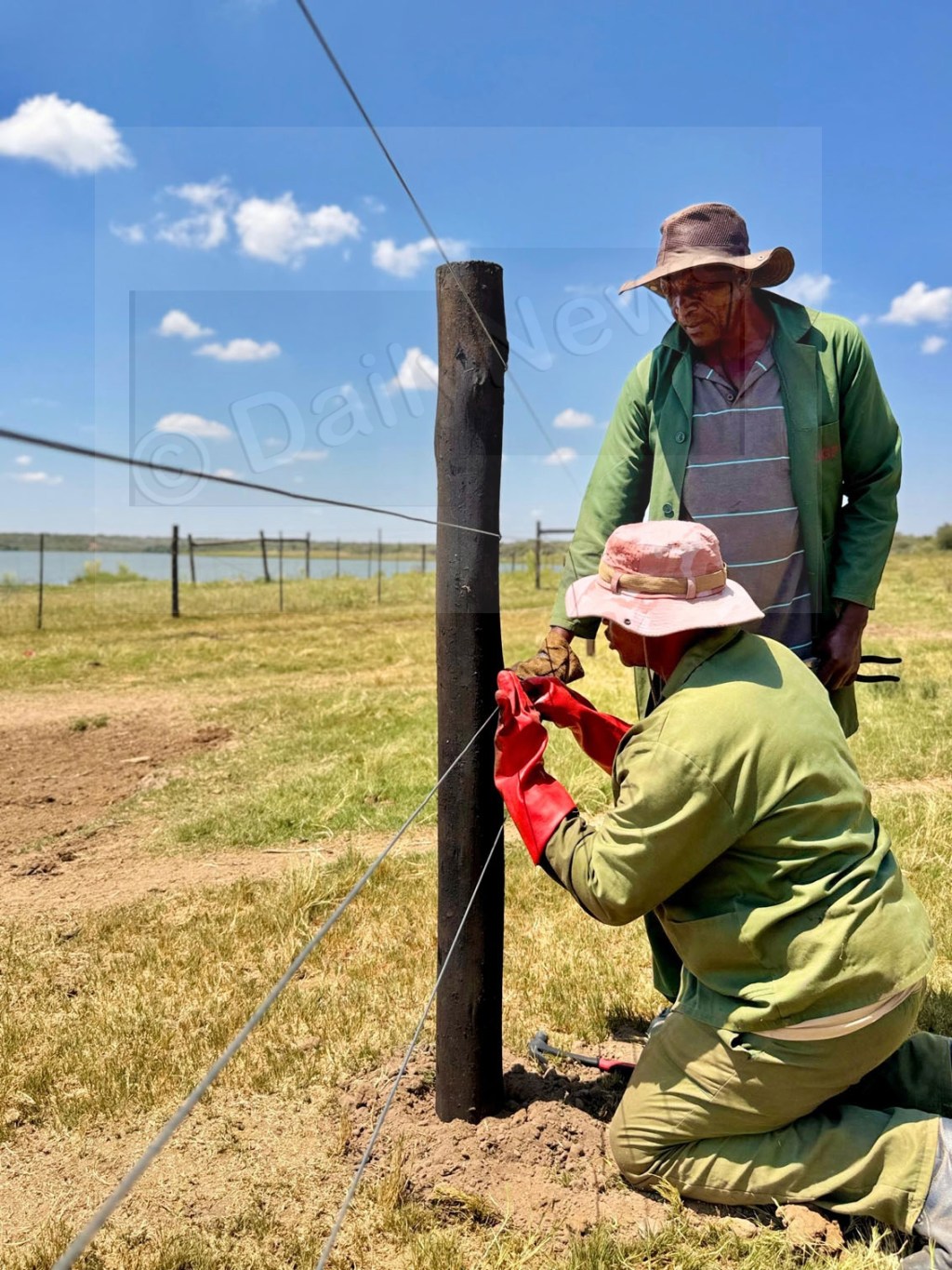 Botswana Moves to Modernise Veterinary Disease Control Zones to Strengthen Biosecurity and Protect Livestock&nbsp;Economy