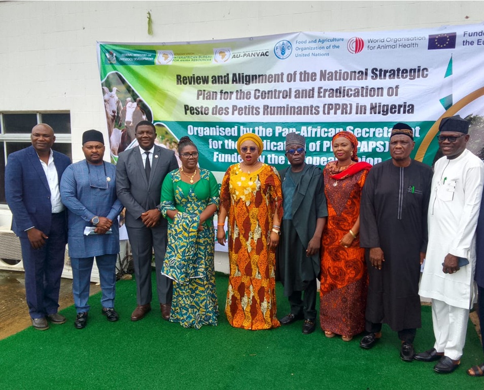 The Road to a PPR-Free Nigeria Has Begun. But Is the Country Ready?